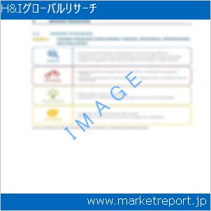 市場と産業調査レポートのイメージ